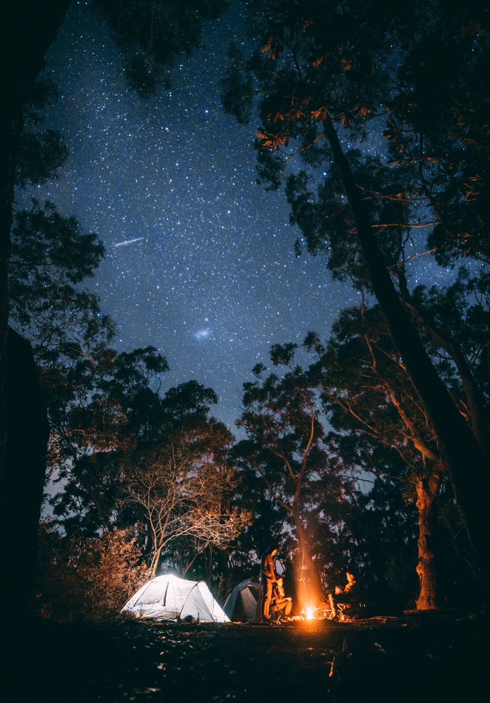Arvo Forest — ritual step: Fire